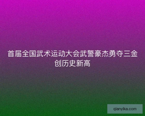 首届全国武术运动大会武警豪杰勇夺三金创历史新高